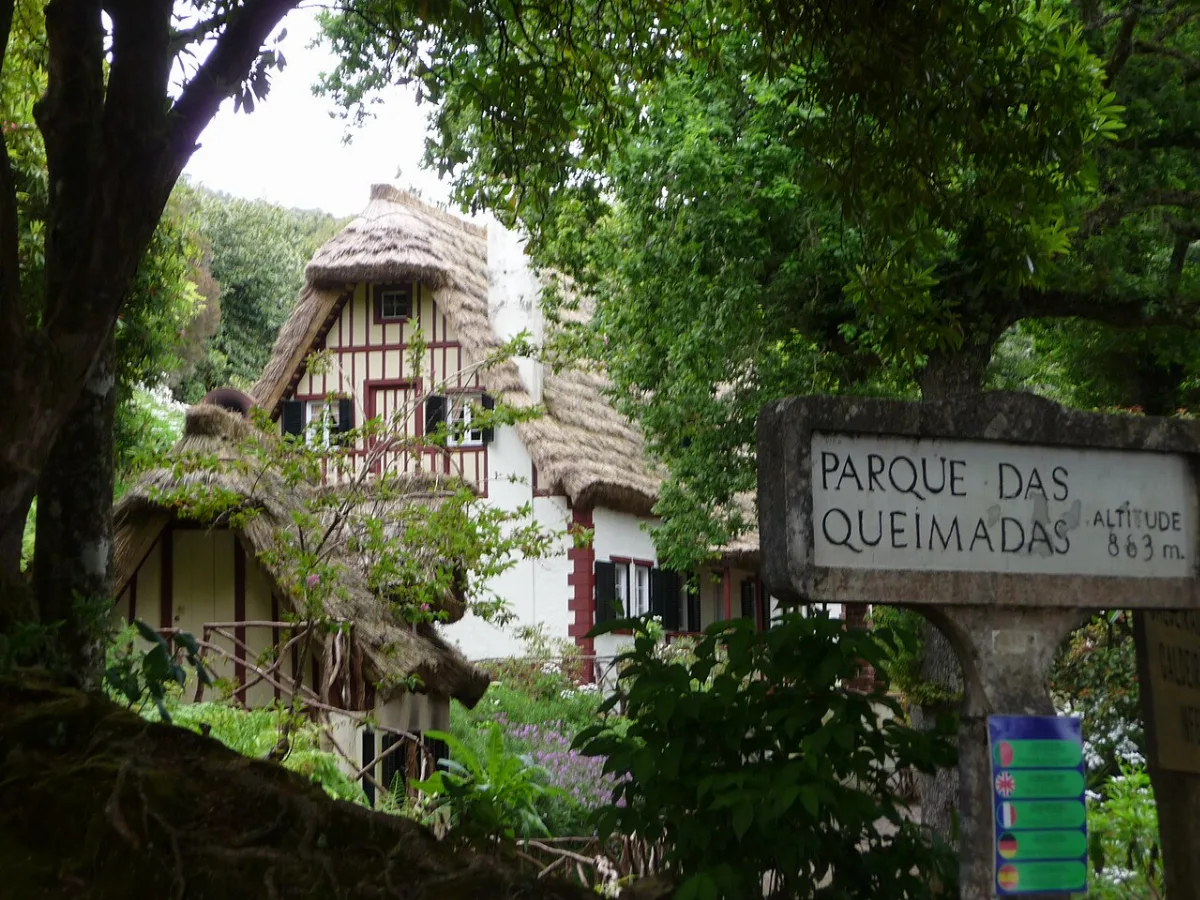 Birdwatching, Madeira