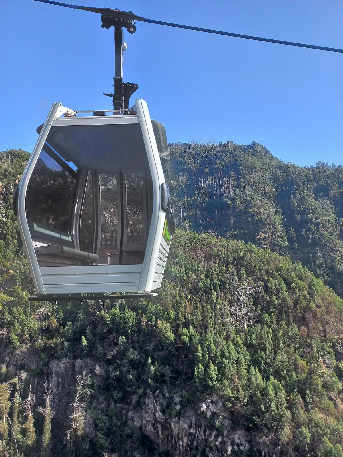 Botanical Garden Cable car