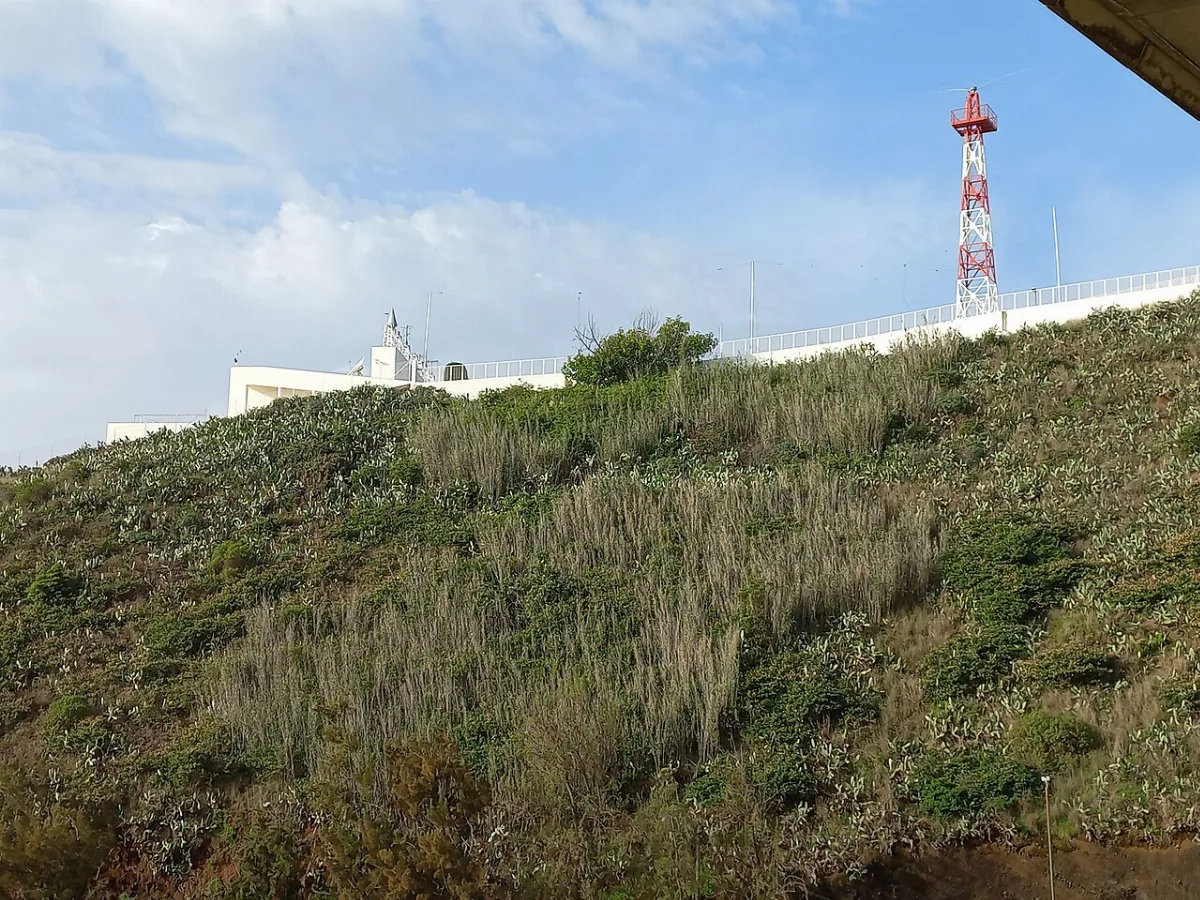 Centro Núcleo dos Dragoeiros das Neves