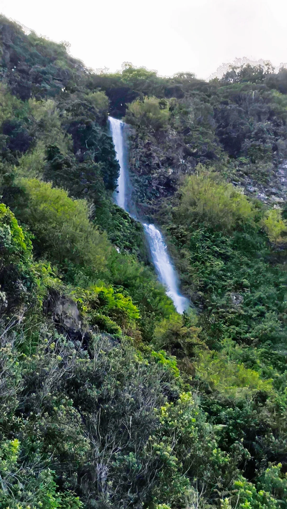Córrego da Pedra