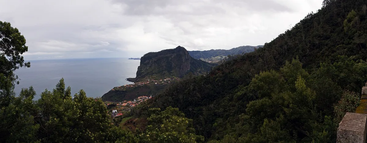 Curtado