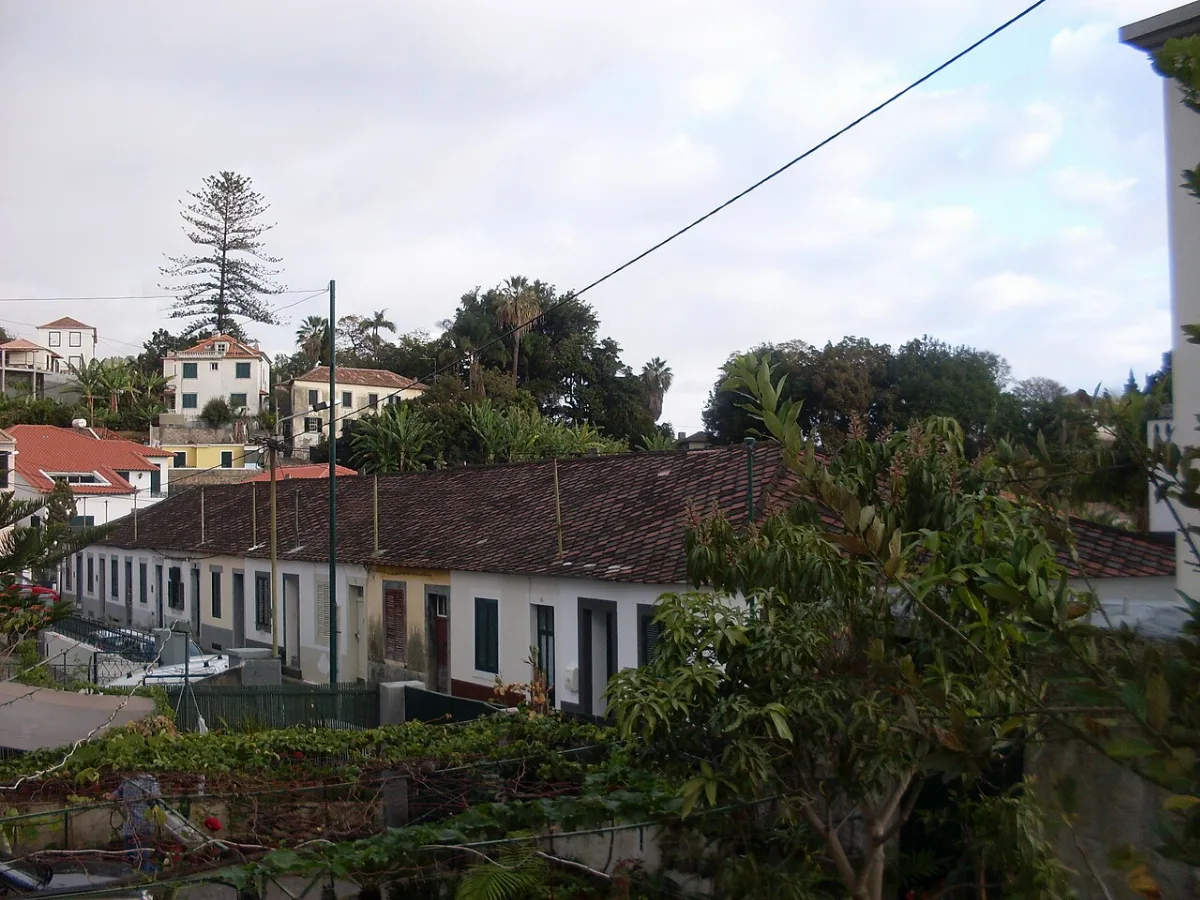 Figueira da Quinta Deão