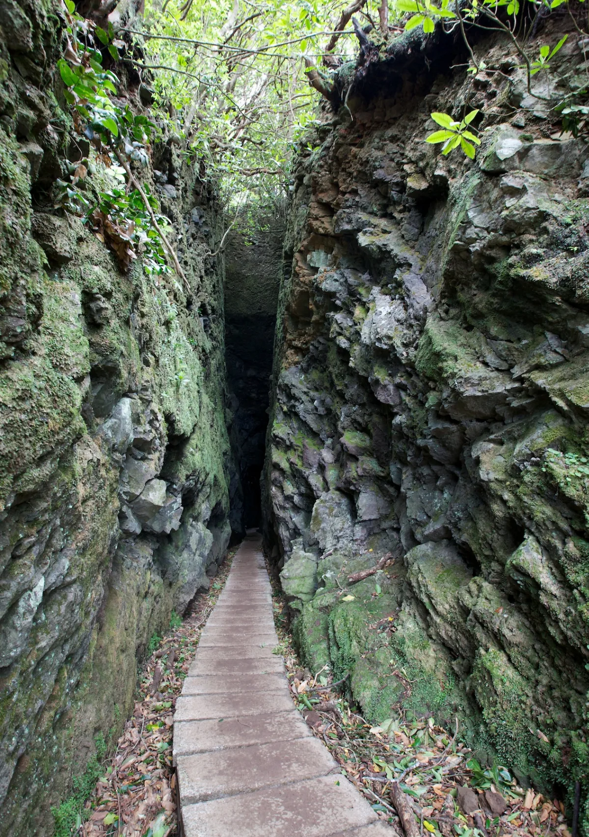 Fissure