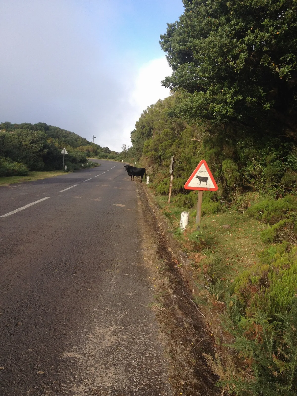 Fonte da Pedra