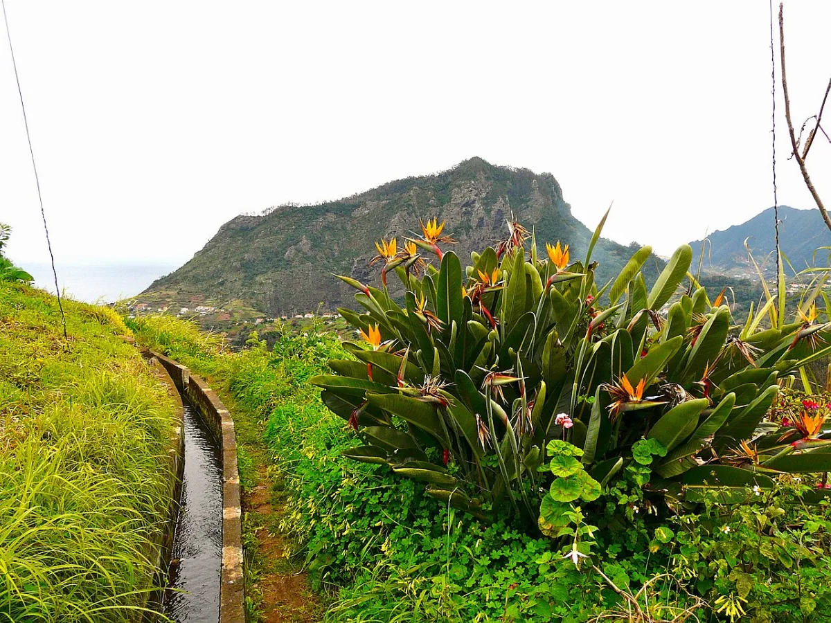 Forte da Boa Vontade