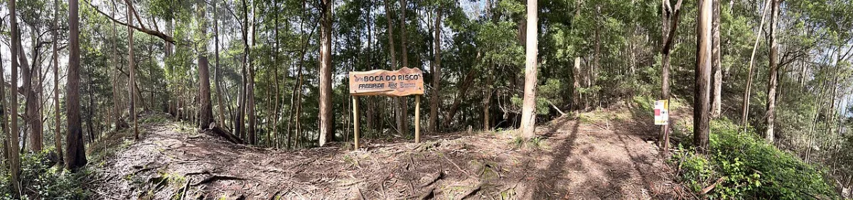 Furado