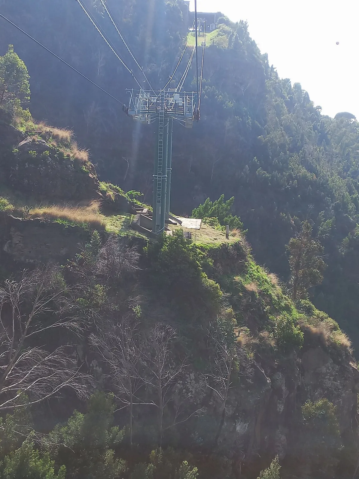 Levada do Bom Sucesso