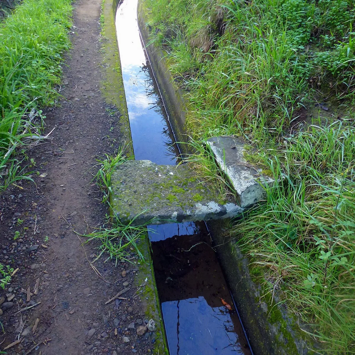 Levada do Castelejo