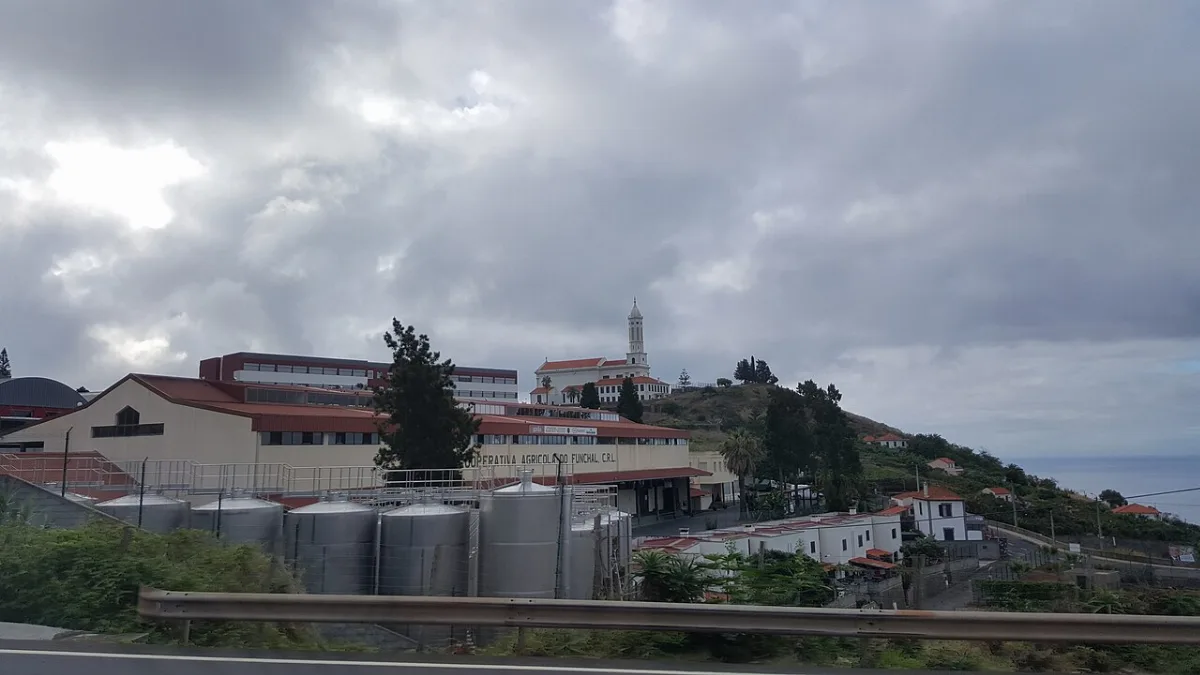 Levada dos Piornais