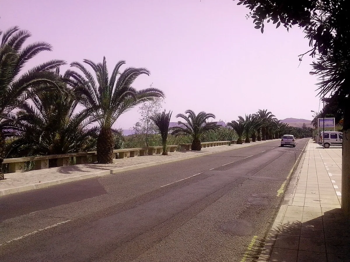 Lombas
