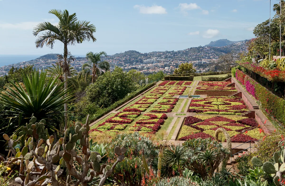Madeira Botanical Garden Engineer Rui Vieira