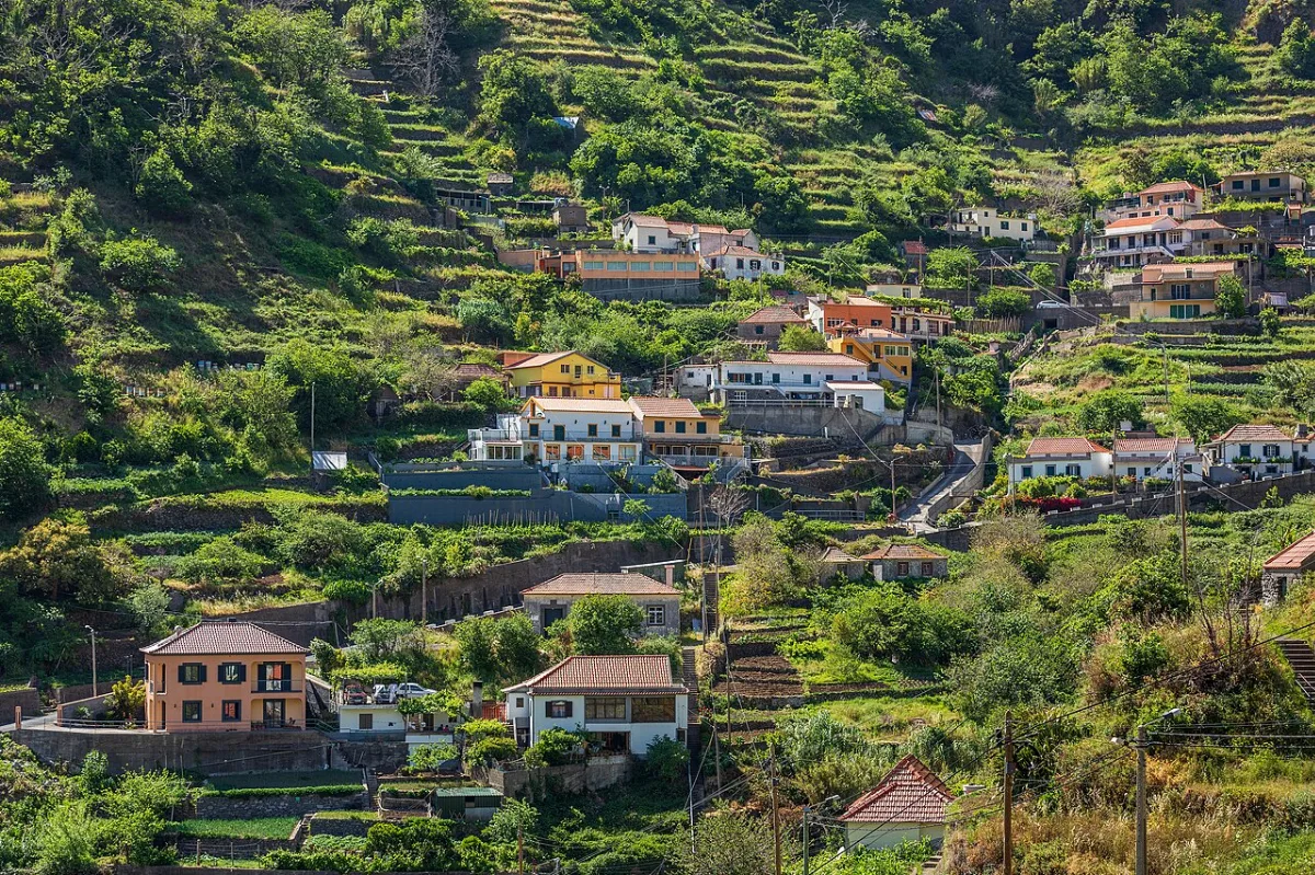Murta