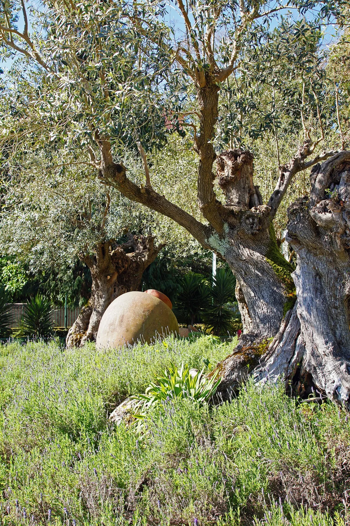Museu Monte Palace