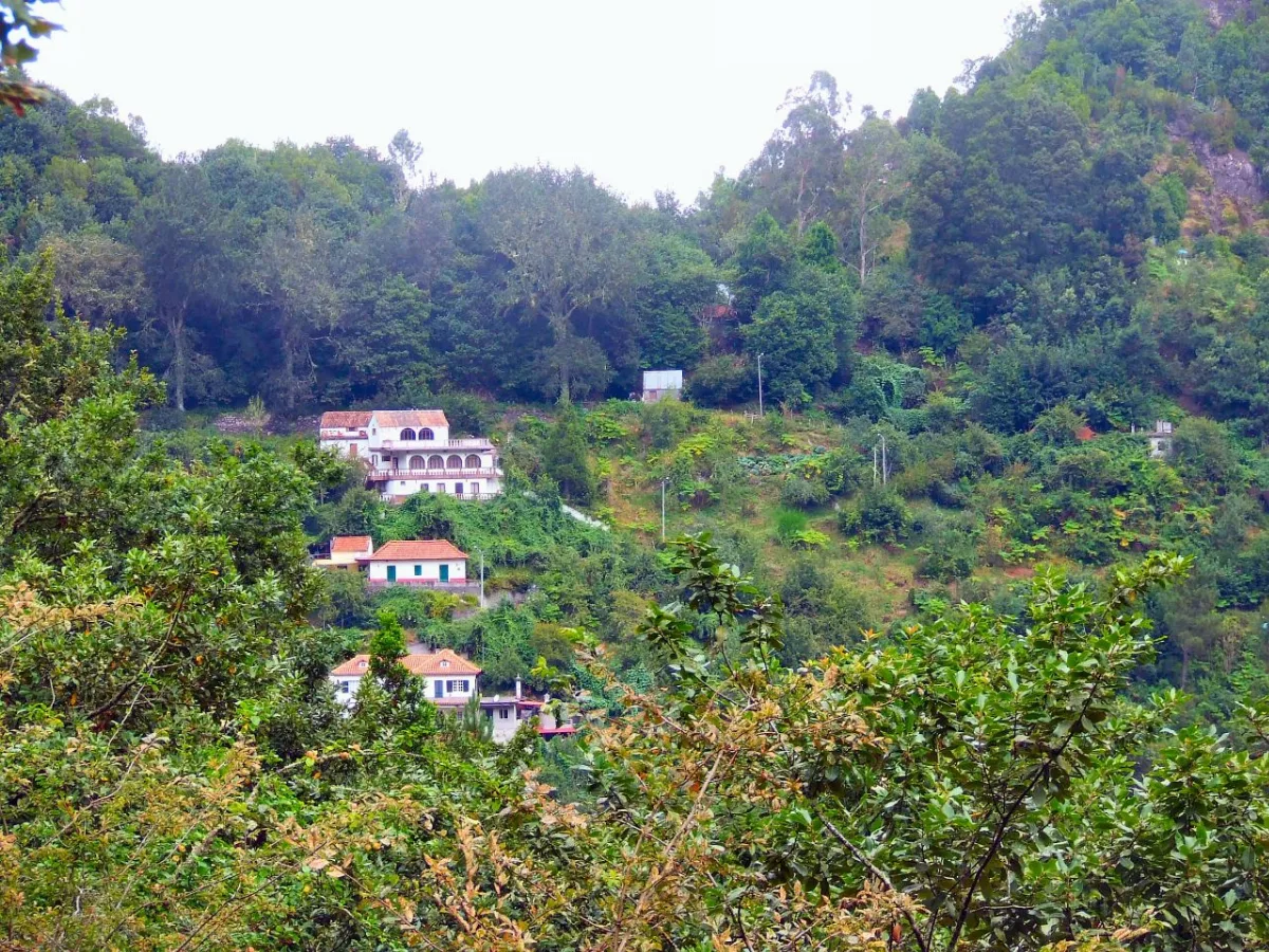 Parque Florestal do Ribeiro Frio