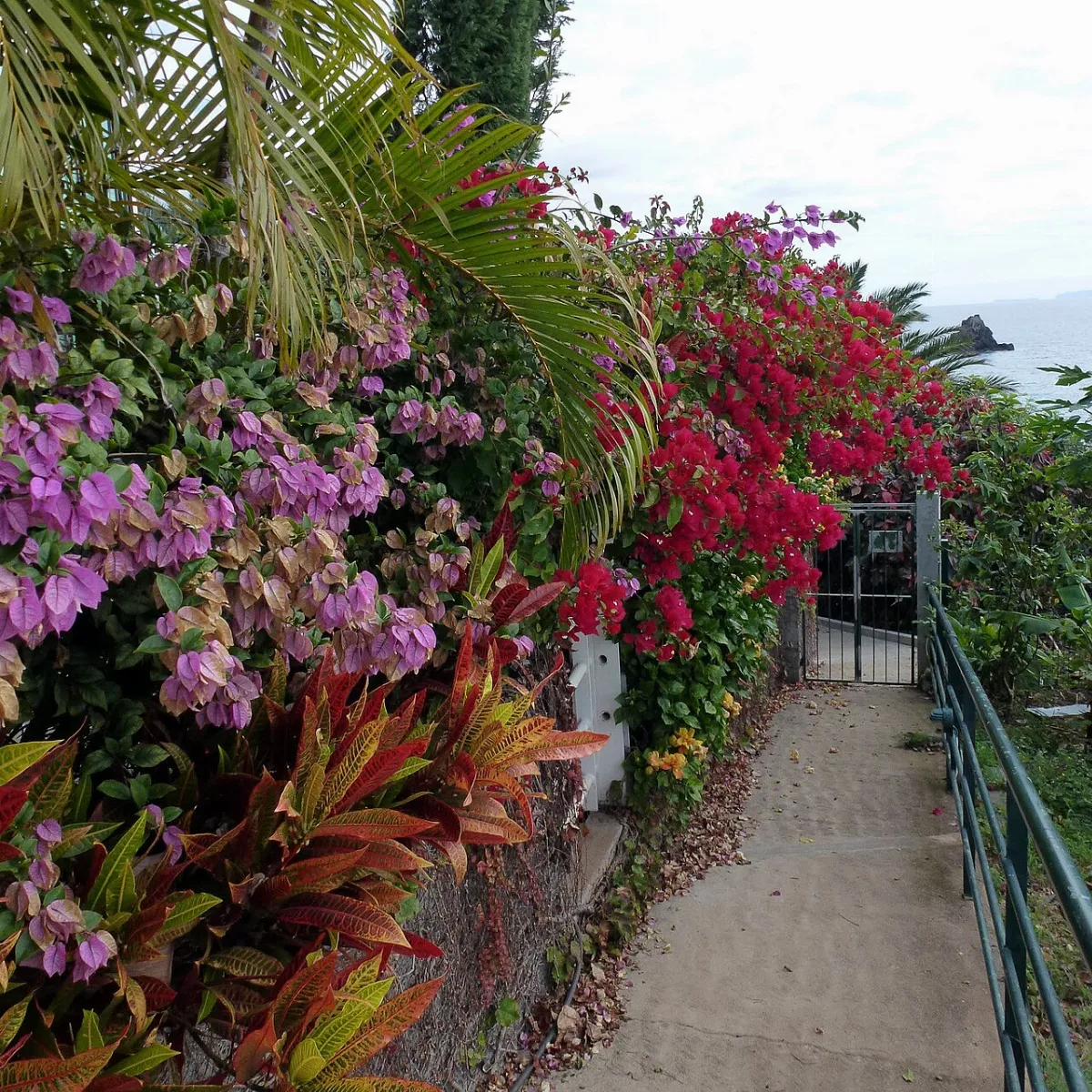 Passeio Marítimo (Lido - Doca do Cavacas)