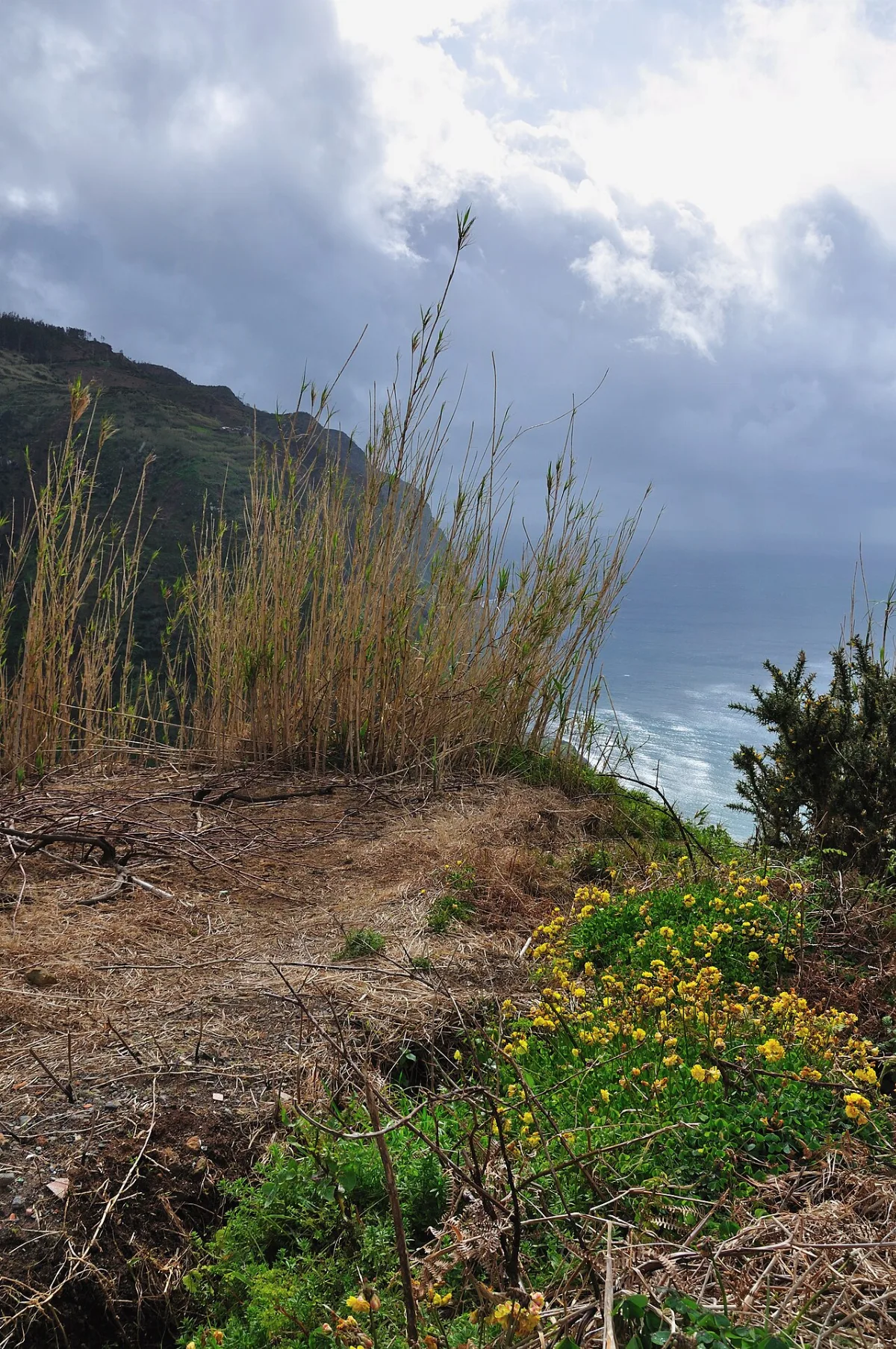 Ponta da Ladeira