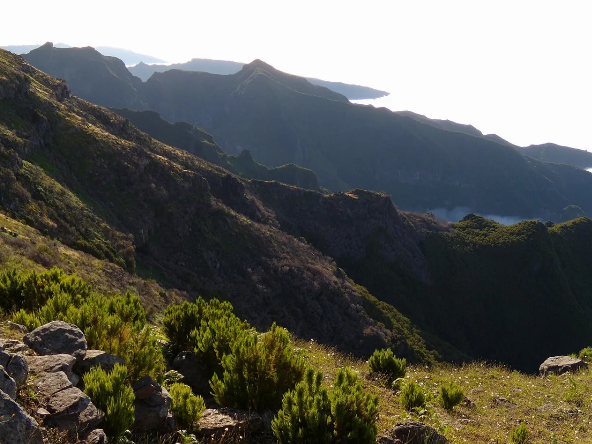 PR 1.2 - Vereda do Pico Ruivo