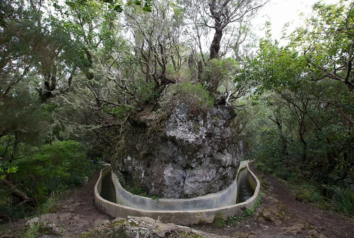 PR 10 - Levada do Furado