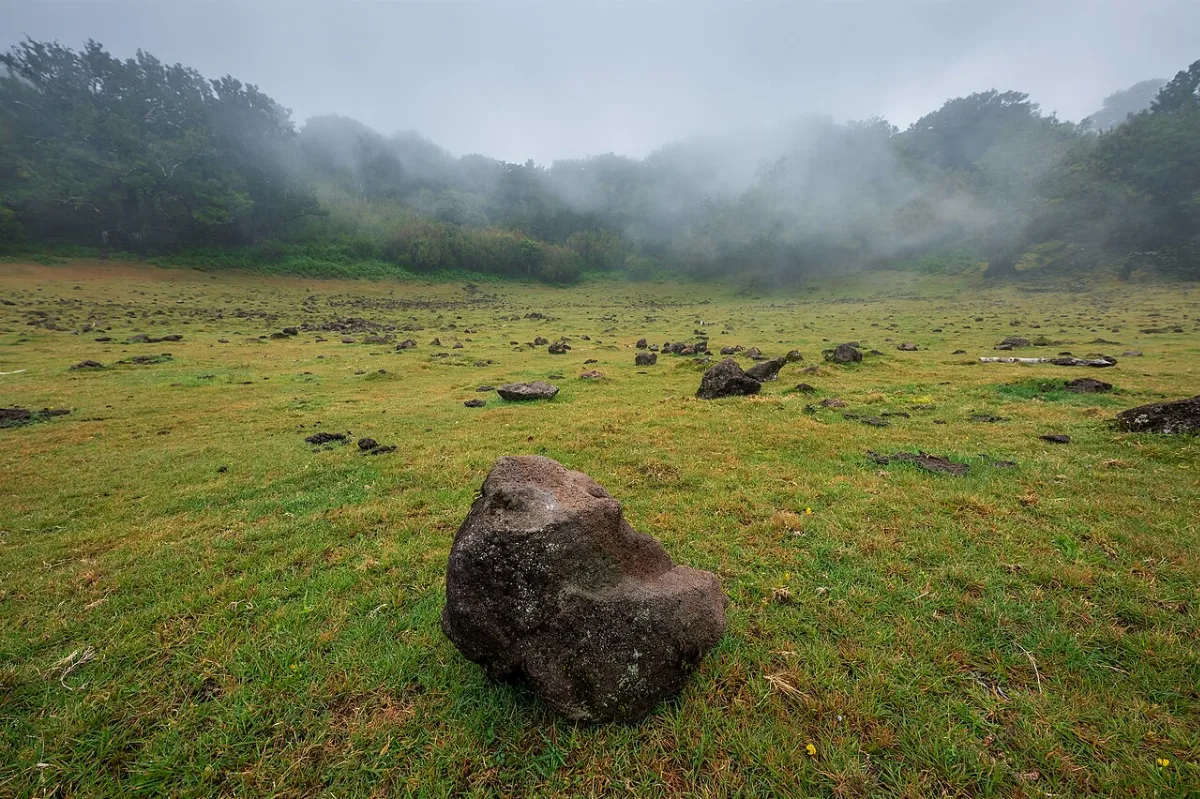 PR 14 - Levada dos Cedros