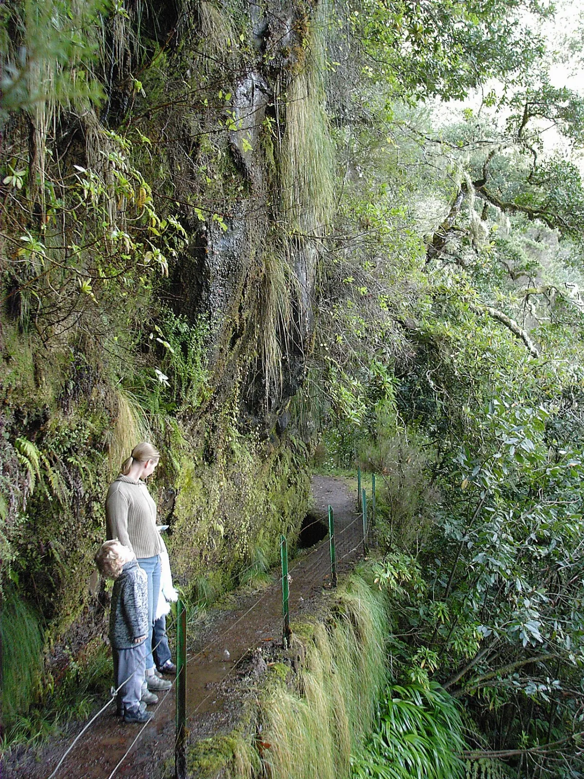 PR 16 - Levada Fajã do Rodrigues