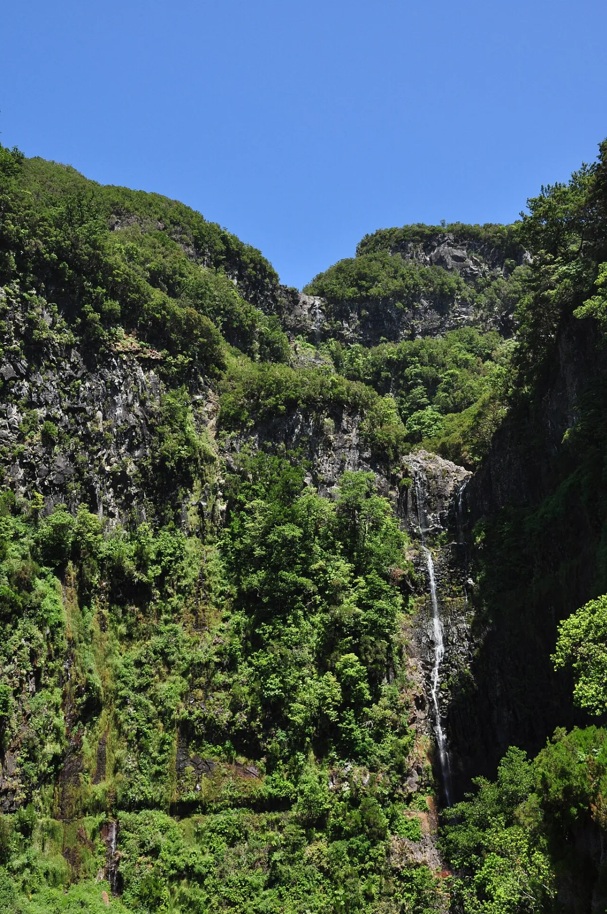 PR 6.3 - Vereda da Lagoa do Vento