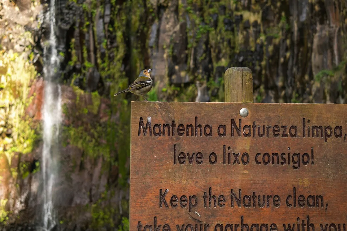 PR 6 - Levada das 25 Fontes