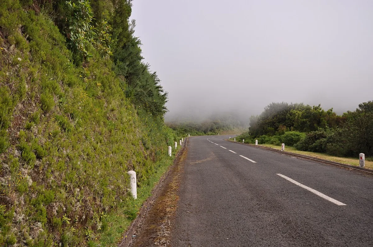 PR 7 - Levada do Moinho