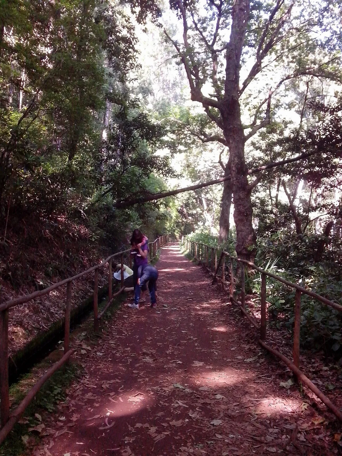PR 9.1 Levada do Caldeirão Verde - Um Caminho para todos