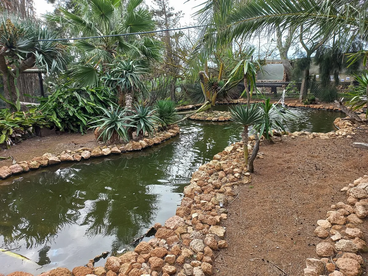 Quinta das Palmeiras