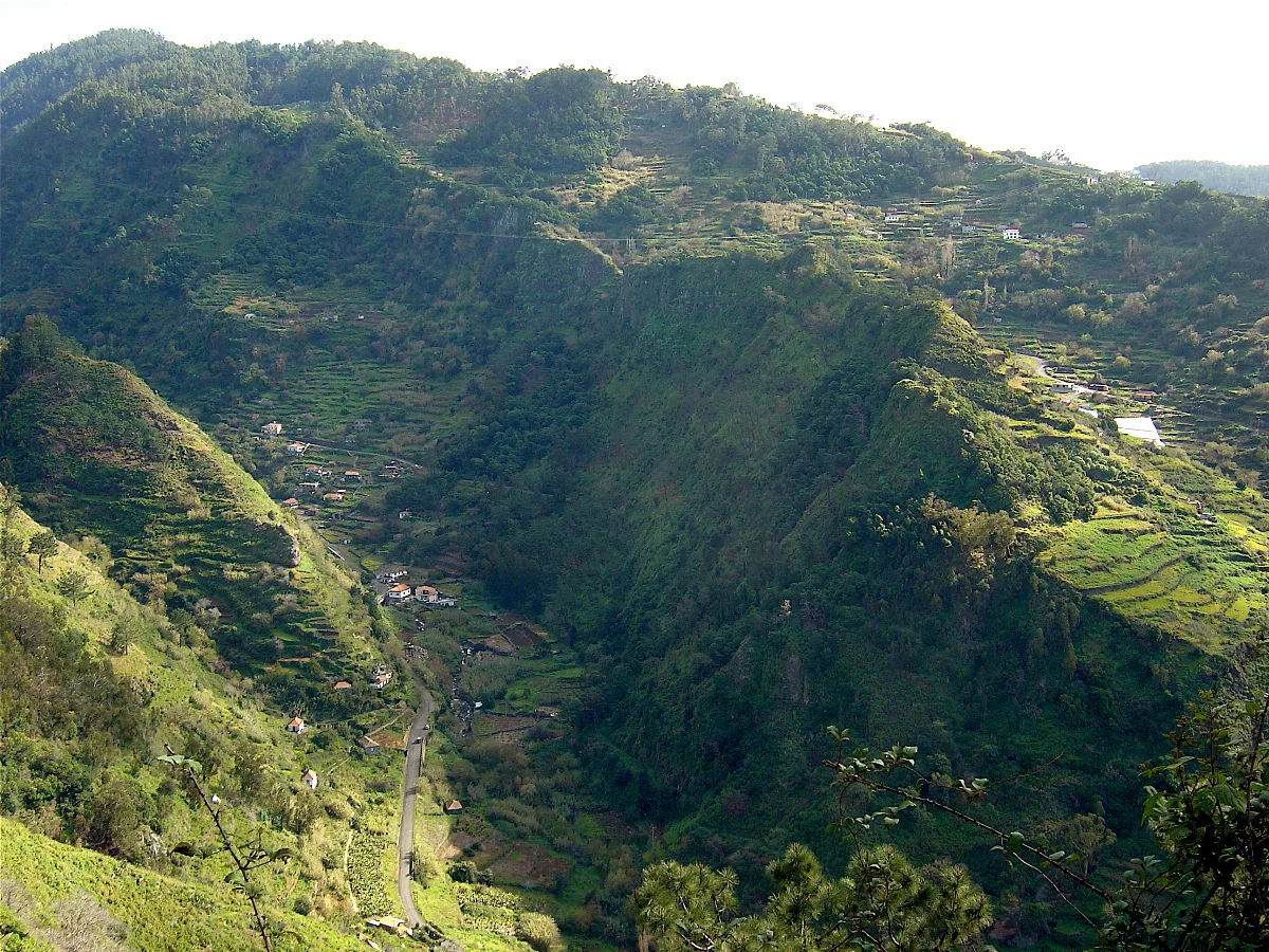 Tabua