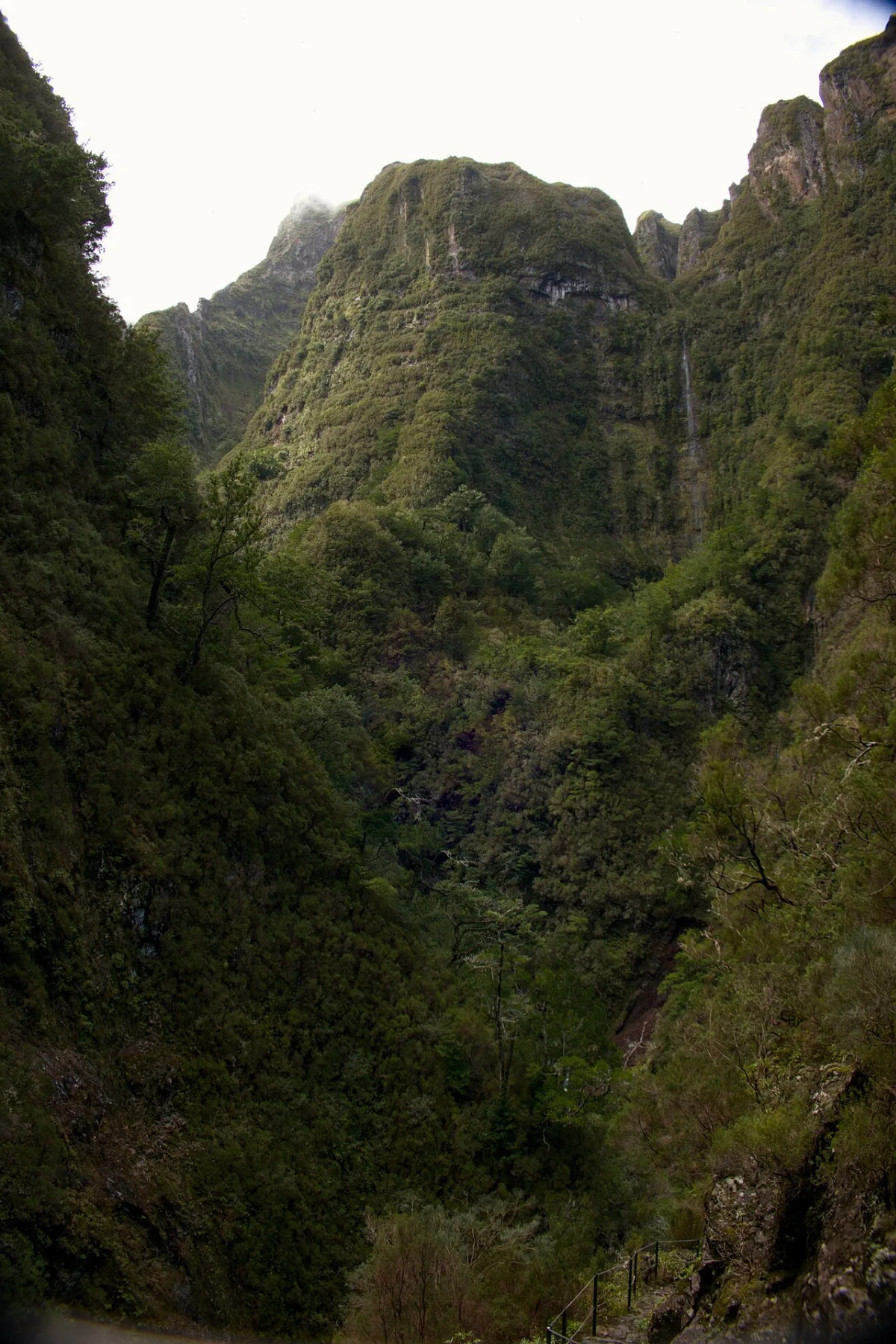 Vereda Achada do Teixeira - Queimadas